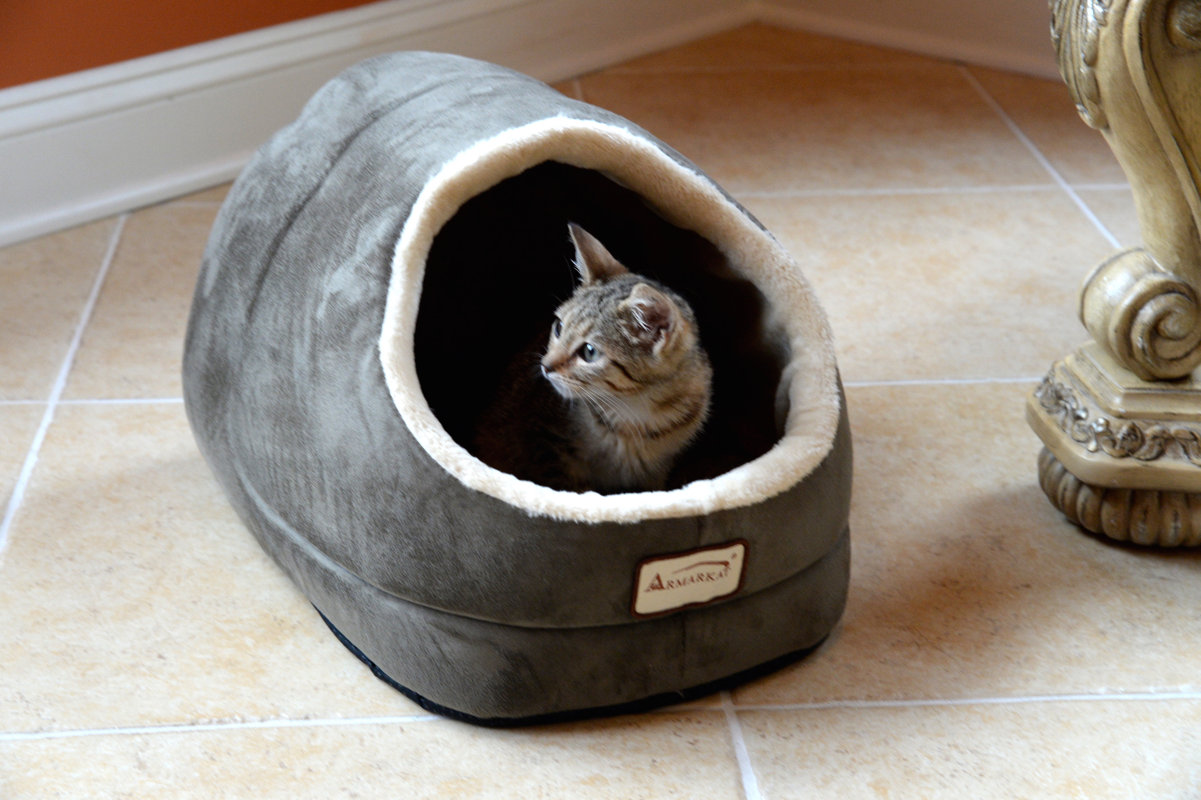 Armarkat Cat Bed & Reviews Wayfair